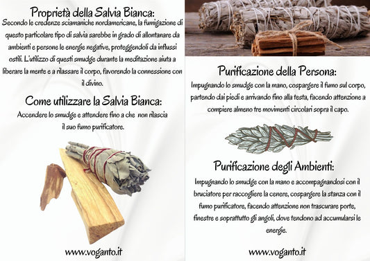 Salvia Bianca Californiana 10cm